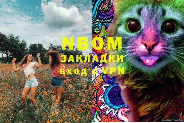 дживик Медвежьегорск