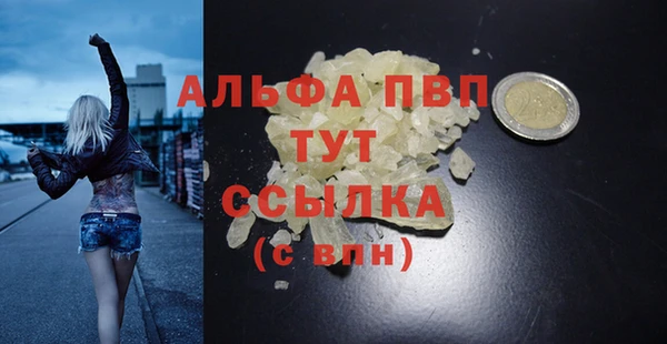 стафф Кадников