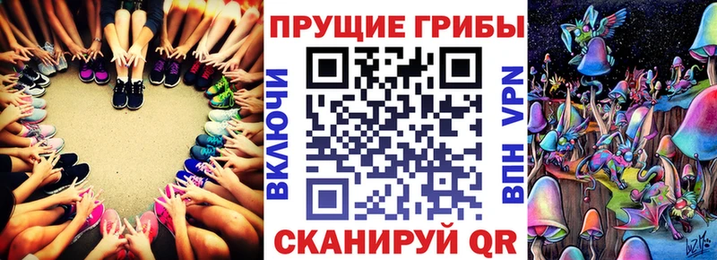 Галлюциногенные грибы GOLDEN TEACHER KRAKEN ссылка Макаров
